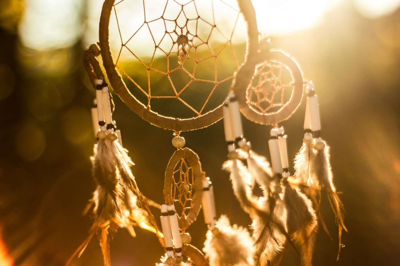 A dream catcher hanging in golden afternoon light, feathers lit from behind